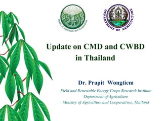 Update on CMD and CWBD
in Thailand
Dr. Prapit Wongtiem
Field and Renewable Energy Crops Research Institute
Department of Agriculture
Ministry of Agriculture and Cooperatives, Thailand
 