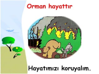 Orman hayattır




Hayatımızı koruyalım.
 