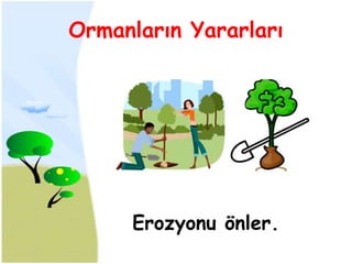 Ormanların Yararları




     Erozyonu önler.
 