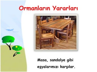Ormanların Yararları




      Masa, sandalye gibi
      eşyalarımızı karşılar.
 