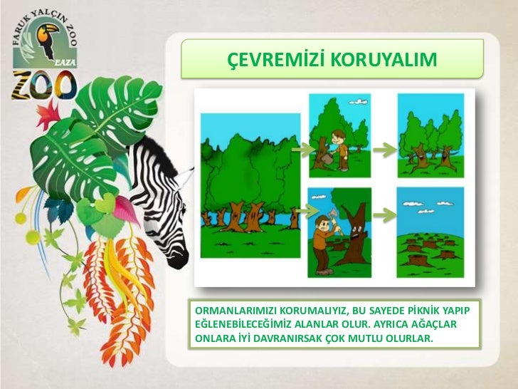 5 Sinif Fen Bilimleri Cevre Kirliligi Konu Anlatimi Fenehli Com