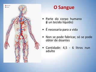 O Sangue
• Parte do corpo humano
(
é un tecido líquido)
• É necesaria para a vida
• Non se pode fabricar, só se pode
obter de doantes
• Cantidade: 4,5 - 6 litros nun
adulto
 