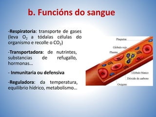 -Respiratoria: transporte de gases
(leva O2 a tódalas células do
organismo e recolle o CO2)
-Transportadora: de nutrintes,
substancias de refugallo,
hormonas…
- Inmunitaria ou defensiva
-Reguladora: da temperatura,
equilibrio hídrico, metabolismo…
b. Funcións do sangue
 
