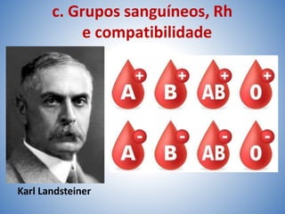 c. Grupos sanguíneos, Rh
e compatibilidade
Karl Landsteiner
 
