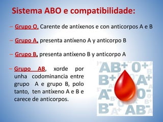 Sistema ABO e compatibilidade:
– Grupo O, Carente de antíxenos e con anticorpos A e B
– Grupo A, presenta antíxeno A y anticorpo B
– Grupo B, presenta antíxeno B y anticorpo A
– Grupo AB, xorde por
unha codominancia entre
grupo A e grupo B, polo
tanto, ten antíxeno A e B e
carece de anticorpos.
 