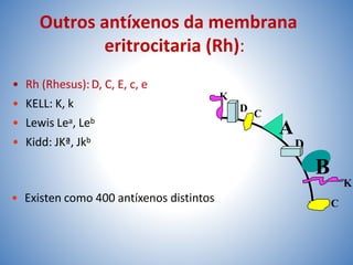 Outros antíxenos da membrana
eritrocitaria (Rh):
• Rh (Rhesus):D, C, E, c, e
• KELL: K, k
• Lewis Lea, Leb
• Kidd: JKª, Jkb
• Existen como 400 antíxenos distintos
K
D
C
K
B
A
D
C
 