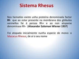 Sistema Rhesus
Nos hematíes existe unha proteína denominada factor
Rh que ao estar presente na membrana dos glóbulos
vermellos fai á persoa Rh+ e ao non atoparse
denomínase Rh- (Alexander Salomon Wiener 1937)
Foi atopada inicialmente nunha especie de mono: o
Macacus Rhesus, de aí o seu nome
 