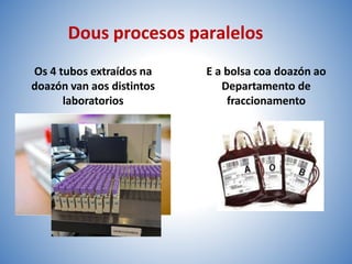 Dous procesos paralelos
Os 4 tubos extraídos na
doazón van aos distintos
laboratorios
E a bolsa coa doazón ao
Departamento de
fraccionamento
 