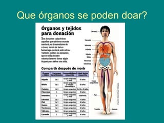 Que órganos se poden doar? 
