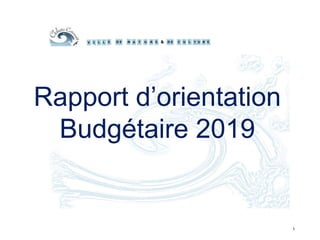 Rapport d’orientation
Budgétaire 2019
1
 