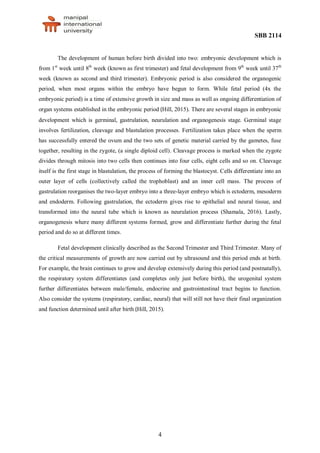 SBB 2114
4
The development of human before birth divided into two: embryonic development which is
from 1st
week until 8th
week (known as first trimester) and fetal development from 9th
week until 37th
week (known as second and third trimester). Embryonic period is also considered the organogenic
period, when most organs within the embryo have begun to form. While fetal period (4x the
embryonic period) is a time of extensive growth in size and mass as well as ongoing differentiation of
organ systems established in the embryonic period (Hill, 2015). There are several stages in embryonic
development which is germinal, gastrulation, neurulation and organogenesis stage. Germinal stage
involves fertilization, cleavage and blastulation processes. Fertilization takes place when the sperm
has successfully entered the ovum and the two sets of genetic material carried by the gametes, fuse
together, resulting in the zygote, (a single diploid cell). Cleavage process is marked when the zygote
divides through mitosis into two cells then continues into four cells, eight cells and so on. Cleavage
itself is the first stage in blastulation, the process of forming the blastocyst. Cells differentiate into an
outer layer of cells (collectively called the trophoblast) and an inner cell mass. The process of
gastrulation reorganises the two-layer embryo into a three-layer embryo which is ectoderm, mesoderm
and endoderm. Following gastrulation, the ectoderm gives rise to epithelial and neural tissue, and
transformed into the neural tube which is known as neurulation process (Shamala, 2016). Lastly,
organogenesis where many different systems formed, grow and differentiate further during the fetal
period and do so at different times.
Fetal development clinically described as the Second Trimester and Third Trimester. Many of
the critical measurements of growth are now carried out by ultrasound and this period ends at birth.
For example, the brain continues to grow and develop extensively during this period (and postnatally),
the respiratory system differentiates (and completes only just before birth), the urogenital system
further differentiates between male/female, endocrine and gastrointestinal tract begins to function.
Also consider the systems (respiratory, cardiac, neural) that will still not have their final organization
and function determined until after birth (Hill, 2015).
 