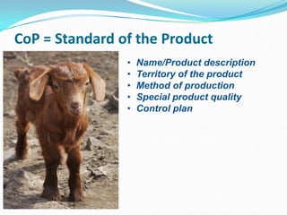 Hasi goat value chain and GI developing process - DOBI | PDF