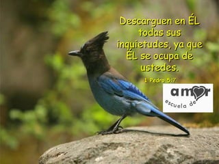 Descarguen en ÉL todas sus inquietudes, ya que ÉL se ocupa de ustedes.   1 Pedro 5: 7   