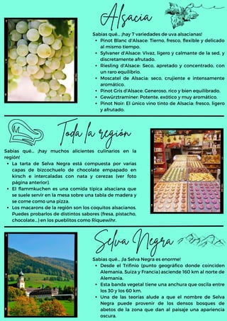 Pinot Blanc d'Alsace: Tierno, fresco, flexible y delicado
al mismo tiempo.
Sylvaner d'Alsace: Vivaz, ligero y calmante de la sed, y
discretamente afrutado.
Riesling d'Alsace: Seco, apretado y concentrado, con
un raro equilibrio.
Moscatel de Alsacia: seco, crujiente e intensamente
aromático.
Pinot Gris d'Alsace: Generoso, rico y bien equilibrado.
Gewürztraminer: Potente, exótico y muy aromático.
Pinot Noir: El único vino tinto de Alsacia: fresco, ligero
y afrutado.
Sabias qué... ¡hay 7 variedades de uva alsacianas!
Alsacia
Selva Negra
Toda la región
La tarta de Selva Negra está compuesta por varias
capas de bizcochuelo de chocolate empapado en
kirsch e intercaladas con nata y cerezas (ver foto
página anterior).
El flammkuchen es una comida típica alsaciana que
se suele servir en la mesa sobre una tabla de madera y
se come como una pizza.
Los macarons de la región son los coquitos alsacianos.
Puedes probarlos de distintos sabores (fresa, pistacho,
chocolate...) en los pueblitos como Riquewihr.
Sabias qué... ¡hay muchos alicientes culinarios en la
región!
Desde el Trifinio (punto geográfico donde coinciden
Alemania, Suiza y Francia) asciende 160 km al norte de
Alemania.
Esta banda vegetal tiene una anchura que oscila entre
los 30 y los 60 km.
Una de las teorías alude a que el nombre de Selva
Negra puede provenir de los densos bosques de
abetos de la zona que dan al paisaje una apariencia
oscura.
Sabias qué... ¡la Selva Negra es enorme!
 