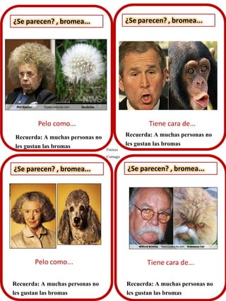 ¿Se parecen? , bromea...
Recuerda: A muchas personas no
les gustan las bromas
¿Se parecen? , bromea... ¿Se parecen? , bromea...
Recuerda: A muchas personas no
les gustan las bromas
Recuerda: A muchas personas no
les gustan las bromas
Recuerda: A muchas personas no
les gustan las bromas
Pelo como... Tiene cara de...
Freixes
Cornago
 