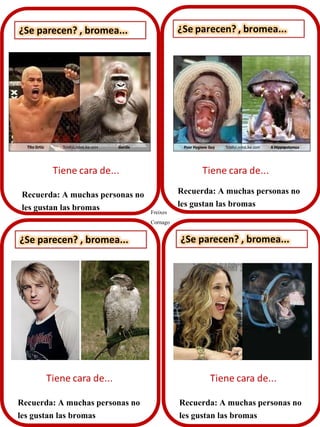 ¿Se parecen? , bromea...
Recuerda: A muchas personas no
les gustan las bromas
¿Se parecen? , bromea... ¿Se parecen? , bromea...
Recuerda: A muchas personas no
les gustan las bromas
Recuerda: A muchas personas no
les gustan las bromas
Recuerda: A muchas personas no
les gustan las bromas Freixes
Cornago
 