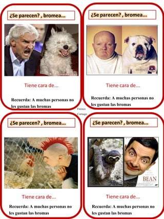¿Se parecen? , bromea...
Recuerda: A muchas personas no
les gustan las bromas
¿Se parecen? , bromea... ¿Se parecen? , bromea...
Recuerda: A muchas personas no
les gustan las bromas
Recuerda: A muchas personas no
les gustan las bromas
Recuerda: A muchas personas no
les gustan las bromas Freixes
Cornago
 