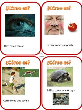 La cara como un tomate

Ojos como el mar
Anabel
Cornago

Tráfico como una tortuga

Corre como una gacela

 