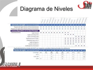 Diagrama de Niveles
 