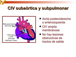 CIV subaórtica y subpulmonar

                 Aorta posteroderecha
                  o anteroizquierda
                 CIV amplia
                  membranosa
                 No hay lesiones
                  obstructivas de
                  tractos de salida
 