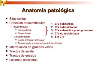 Anatomía patológica
   Situs solitus
   Conexión atrioventricular              1.   CIV subaórtica
       Biventricular                      2.   CIV subpulmonar
            Concordante                   3.   CIV subaórtica y subpulmonar
            Discordante                   4.   CIV no relacionada
       Univentricular                     5.   Sin CIV
            Doble entrada ventricular
            Ausencia de una conexión atrioventricular
   Interrelación de grandes vasos
   Tractos de salida
   Tractos de entrada
   Lesiones asociadas
 