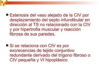    Estenosis del vaso alejado de la CIV por
    desplazamiento del septo infundibular en
    dirección al TS no relacionado con la CIV
    y por hipertrofia muscular y reacción
    fibrosa de sus paredes.

   Si se relaciona con CIV es por
    excrecencias de tejido conjuntivo
    redundante derivado del trígono fibroso o
    CIV pequeña y VI hipoplásico
 