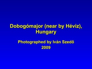Dobogómajor (near by Héviz), Hungary Photographed by Iván Szedő 2009 