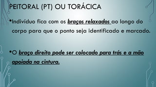 •Indivíduo fica com os braços relaxados ao longo do
corpo para que o ponto seja identificado e marcado.
•O braço direito pode ser colocado para trás e a mão
apoiada na cintura.
PEITORAL (PT) OU TORÁCICA
 