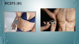 BÍCEPS (BI)
 