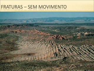 Source: Martin G. Miller/Visuals Unlimited
 