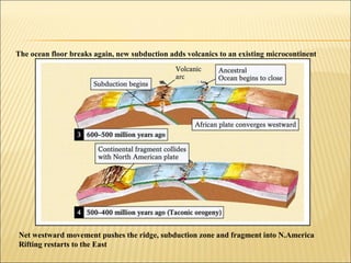 The ocean floor breaks again, new subduction adds volcanics to an existing microcontinent




Net westward movement pushes the ridge, subduction zone and fragment into N.America
Rifting restarts to the East
 
