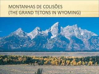 Source: Peter French/DRK Photo
 