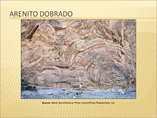 Source: Martin Bond/Science Photo Library/Photo Researchers, Inc.
 