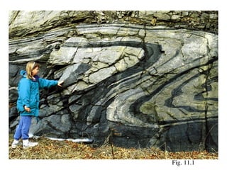 Fig. 11.1
 