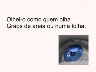 Olhei-o como quem olha Grãos de areia ou numa folha. 