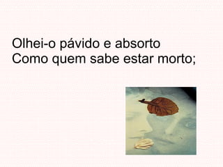 Olhei-o pávido e absorto Como quem sabe estar morto; 