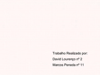 Trabalho Realizado por: David Lourenço nº 2 Marcos Peneda nº 11 