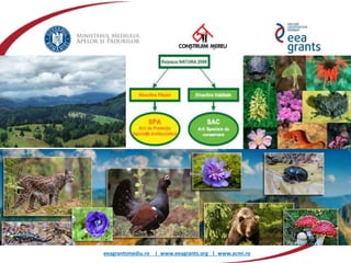 eeagrantsmediu.ro | www.eeagrants.org | www.acmi.ro
 