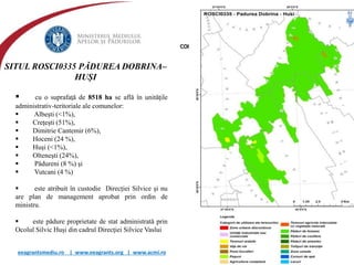 eeagrantsmediu.ro | www.eeagrants.org | www.acmi.ro
SITUL ROSCI0335 PĂDUREA DOBRINA–
HUȘI
 cu o suprafaţă de 8518 ha se află în unităţile
administrativ-teritoriale ale comunelor:
 Albeşti (<1%),
 Creţeşti (51%),
 Dimitrie Cantemir (6%),
 Hoceni (24 %),
 Huşi (<1%),
 Olteneşti (24%),
 Pădureni (8 %) şi
 Vutcani (4 %)
 este atribuit în custodie Direcției Silvice şi nu
are plan de management aprobat prin ordin de
ministru.
 este pădure proprietate de stat administrată prin
Ocolul Silvic Huși din cadrul Direcţiei Silvice Vaslui
 