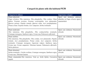 Categoria de utilizare Importanța ecologică
Plante industriale:
Fagus sylvatica, Tilia tomentosa, Tilia platyphyllos, Tilia cordata, Ulmus
glabra, Fraxinus excelsior, Fraxinus coriariaefolia, Acer platanoides,
Quercus petraea, Populus tremula, Quercus robur, Acer pseudoplatanus,
Prunus avium, Carpinus betulus, Acer campestre, Sorbus torminalis.
Specii care alcătuiesc plafonul
arborilor, cu Fagus silvatica specie
caracteristică.
Plante medicinale:
Tilia tomentosa, Tilia platyphyllos, Tilia cordata,Sorbus torminalis,
Crataegus monogyna, Sambucus nigra, Cornus mas,Pulmonaria officinalis
Specii care alcătuiesc fitocenozele
silvicole
Plante melifere:
Tilia tomentosa, Tilia platyphyllos, Tilia cordata, Acer platanoides, Populus
tremula, Acer pseudoplatanus, Prunus avium, Acer campestre, Sorbus
torminalis, Crataegus monogyna, Ligustrum vulgare, Sambucus nigra,
Cornus mas, Cornus sanguinea, Viburnum lantana, Pulmonaria officinalis,
Salvia glutinosa
Specii care alcătuiesc fitocenozele
silvicole
Plante alimentare:
Sorbus torminalis., Corylus avellana, Crataegus monogyna, Sambucus nigra,
Cornus mas, Viburnum lantana
Specii care alcătuiesc fitocenozele
silvicole
Plante ornamentale:Tilia tomentosa, Viola sp. Scilla bifolia, Convalaria
majalis
Specii care alcătuiesc fitocenozele
silvicole
Categorii de plante utile din habitatul 9130
 