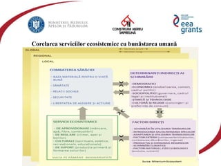 eeagrantsmediu.ro | www.eeagrants.org | www.acmi.ro
Corelarea serviciilor ecosistemice cu bunăstarea umană
 