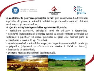 eeagrantsmediu.ro | www.eeagrants.org | www.acmi.ro
3. contribuie la păstrarea peisajelor rurale, prin conservarea biodiversităţii
(speciilor de plante şi animale), habitatelor şi resurselor naturale, datorită
unei intervenţii umane reduse.
4. ajută la menţinerea practicilor agricole tradiţionale:
• agricultura extensivă, principalul mod de utilizare a terenurilor;
• utilizarea îngrăşamintelor organice (gunoi de grajd) conform cerinţelor de
fertilizare a pajistilor (utilizarea gunoiului de grajd este permisă până în
echivalentul a maxim 30 kg. N s.a./ha);
• densitatea redusă a animalelor, respectând capacitatea naturală de producţie
a păşunilor (păşunatul se efectuează cu maxim 1 UVM pe hectar);
• intervenţie umană redusă;
• existenţa redusă a mecanizării (cosit manual).
 