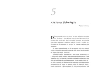 5
Não Somos Bicho-Papão
                                                       Wagner Fontoura




D     omingo é dia de passear no parque. Pra mim, desde que me mudei
      para São Paulo, é assim. Pego as crianças (meu filho e meu sócio
que tem idade pra ser meu filho), seus rollers, acessórios de segurança
(que espécie de pai não se esmera na proteção às crias?) e lá vamos nós.
Enquanto eles se exercitam, via de regra, eu caminho e medito pelo
Ibirapuera.
   No final de semana passado, em vez de caminhar, parei para visitar o
acervo de fotografias de artistas diversos do ainda recente século passado,
em exposição do Museu Afro Brasil.
   Fascinado de pouco pela fotografia – nova paixão que motivou (A)
a aquisição da minha primeira máquina fotográfica profissional (uma
Nikon D40 para iniciantes) e (B) o início de um acervo que já conta com
mais de 2 mil fotos colecionadas num álbum virtual de uma “conta pro”
no Flickr –, além de me deleitar com as imagens da referida exposição,
não pude deixar de pensar em quantos artistas da magnitude dos ex-
postos ali perderam a oportunidade de ter seus clicks reconhecidos pela
 