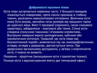 Доброякісні пухлини піхви
Кіста піхви зустрічається порівняно часто. У більшості випадків
локалізується поверхнево, проте інколи проникає в глибину
тканин, досягаючи навколопіхвової клітковини. Величина кісти
може бути різною, звичайно сягає розмірів від грецького горіха
до курячого яйця. Вміст її прозорий (серозного, часом слизового
характеру), забарвлення - жовтувате або темне. Стінка кісти
утворена сполучною тканиною і м’язовими елементами.
Внутрішня поверхня вкрита циліндричним, кубічним або
призматичним епітелієм. Тривалий час кіста піхви має
безсимптомний перебіг, виявляється під час онкопрофілактичних
оглядів, оглядів у дзеркалах, діагностується легко. При
дворучному вагінальному дослідженні, у зв’язку з еластичністю
кісти, її можна не виявити.
Лікування - хірургічне (вилущування кісти з прилеглих тканин).
Пункція кісти з відсмоктуванням вмісту дає тимчасовий ефект.
 