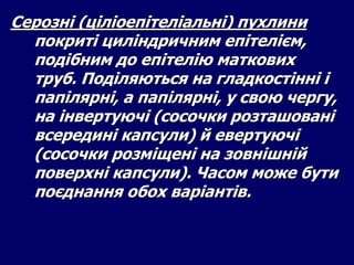 Серозні (ціліоепітеліальні) пухлини
покриті циліндричним епітелієм,
подібним до епітелію маткових
труб. Поділяються на гладкостінні і
папілярні, а папілярні, у свою чергу,
на інвертуючі (сосочки розташовані
всередині капсули) й евертуючі
(сосочки розміщені на зовнішній
поверхні капсули). Часом може бути
поєднання обох варіантів.
 