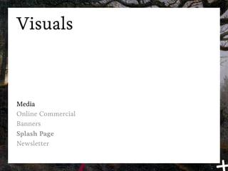 Visuals



Media
Online Commercial
Banners
Splash Page
Newsletter
 