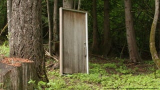 Bild ShashiBellamkonda, CC BY 2.0, : https://www.ﬂickr.com/photos/drbeachvacation/4623702054/
 