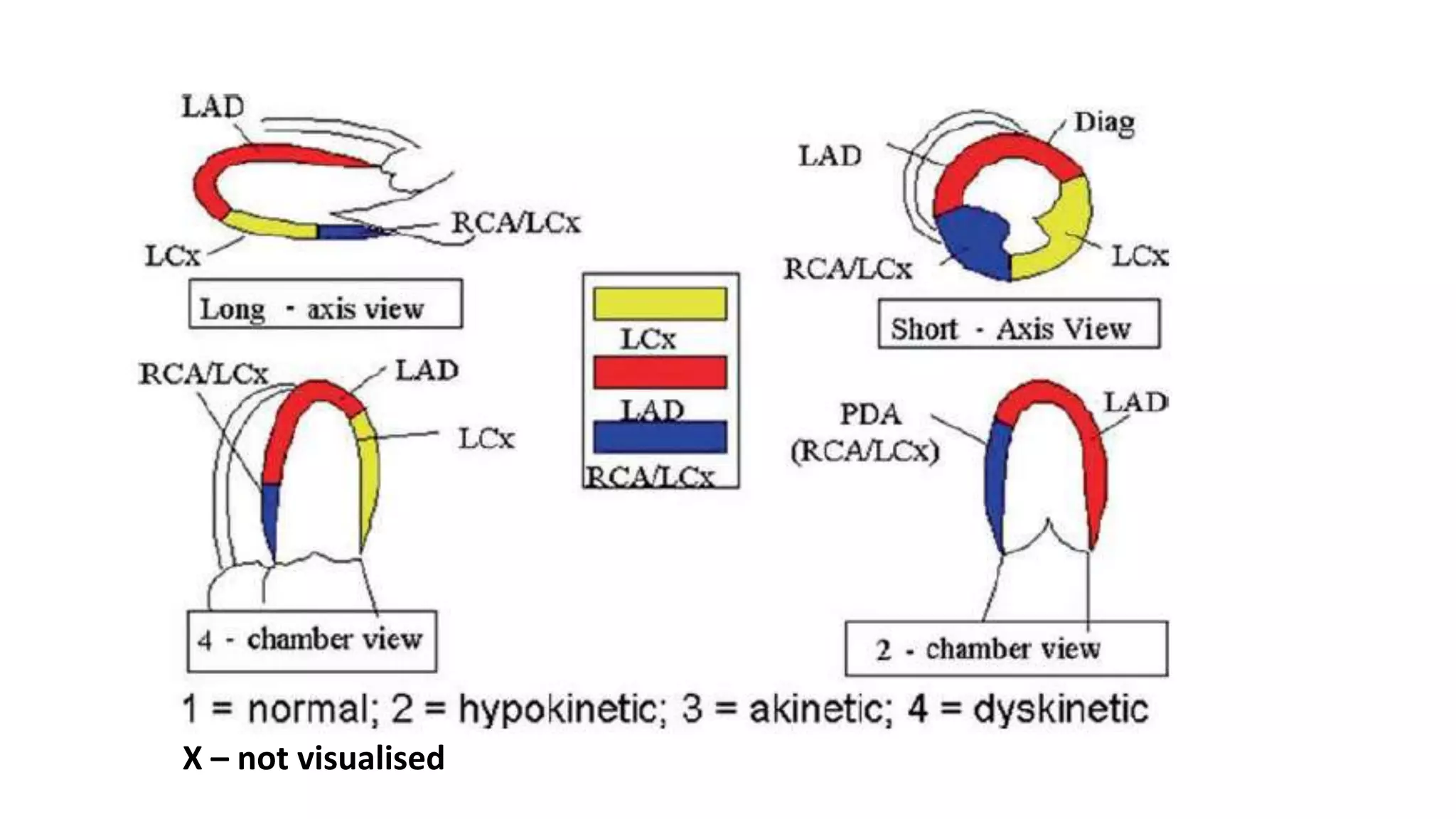 X – not visualised
 