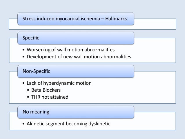 Dobutamine Stress Echo Guidelines