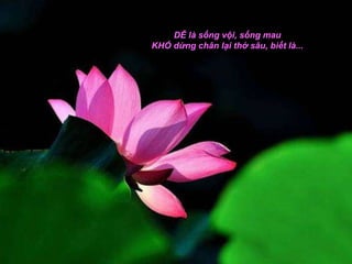 DỄ là sống vội, sống mau
KHÓ dừng chân lại thở sâu, biết là...
 